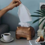 Cute Little Monster Tissue Box - Image 7