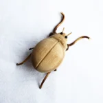 Handmade Bamboo Insects Crafts - Image 3